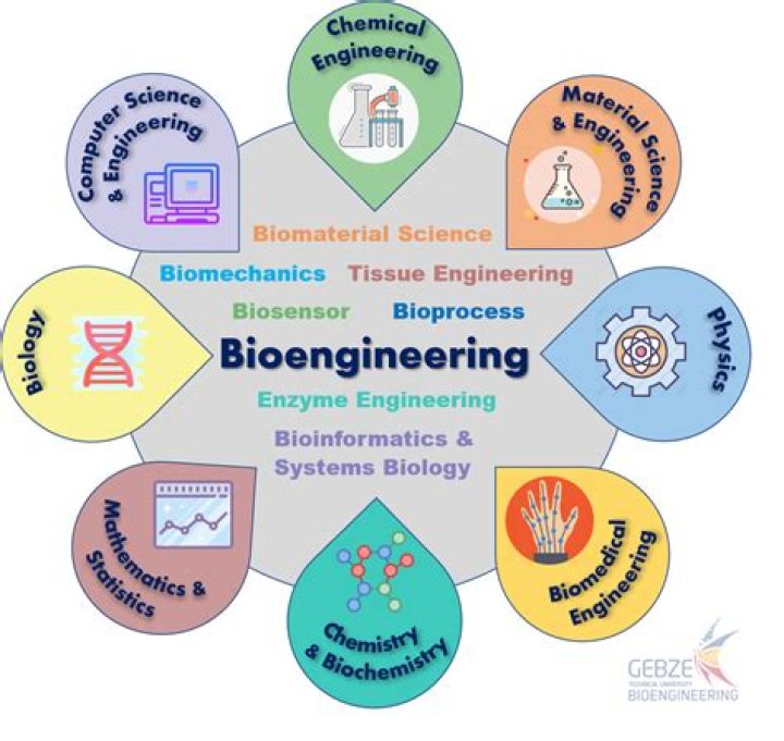What is bioengineering BioSystems?
